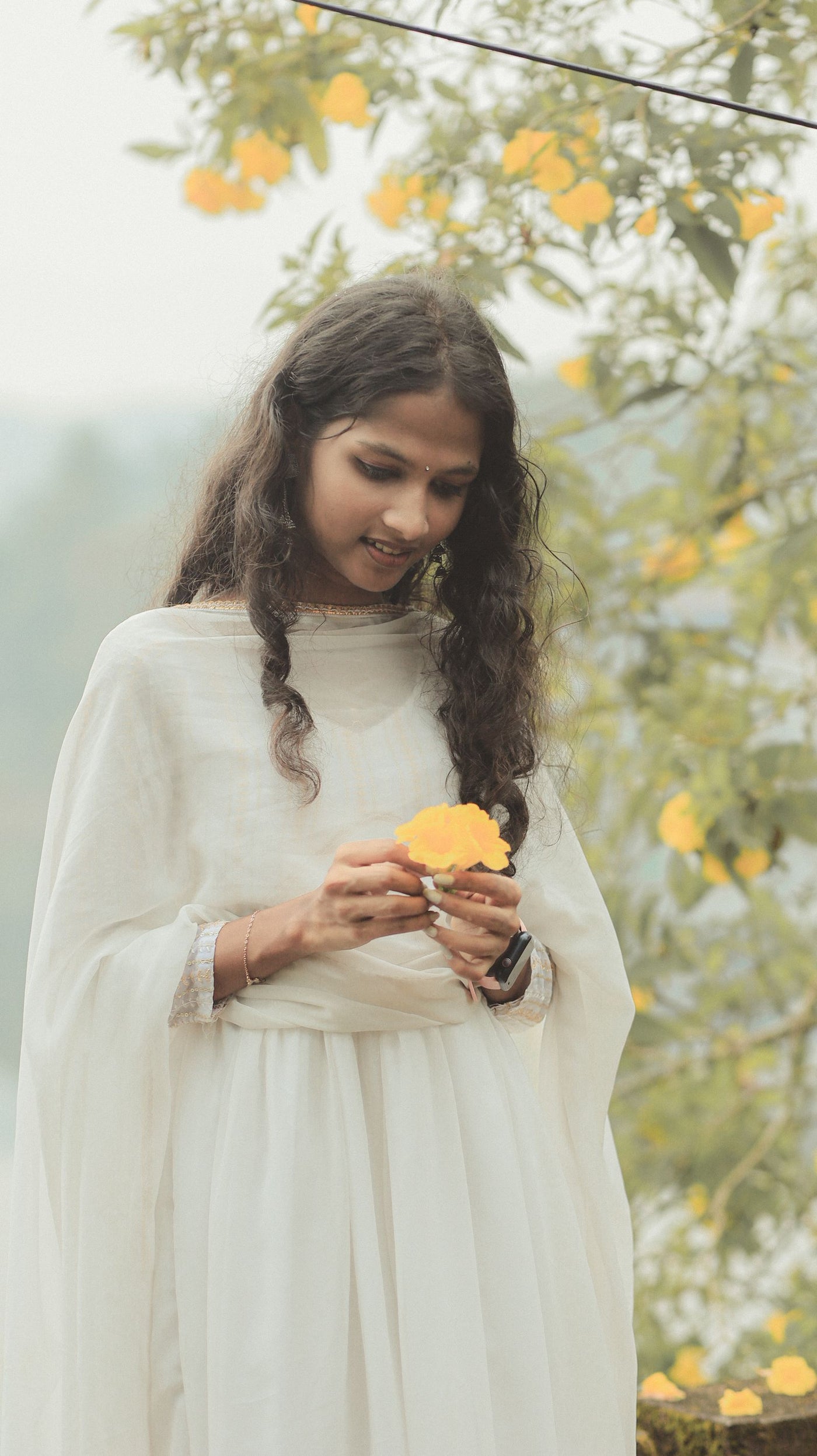Prakriti Test: How Your Dosha Is Determined (and What a Quiz Can't)