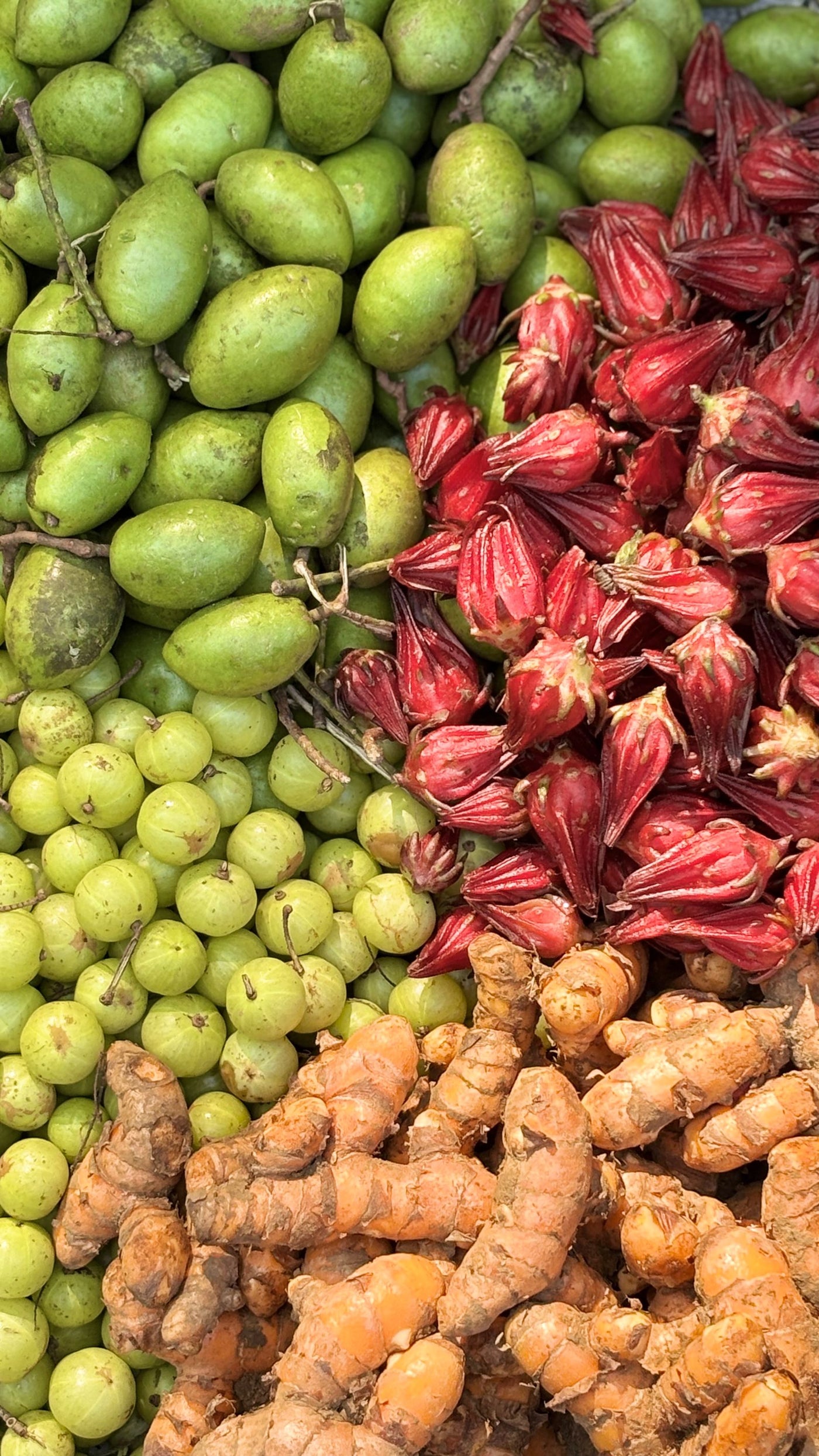 Triphala vs Isabgol: Which Is Better for You?