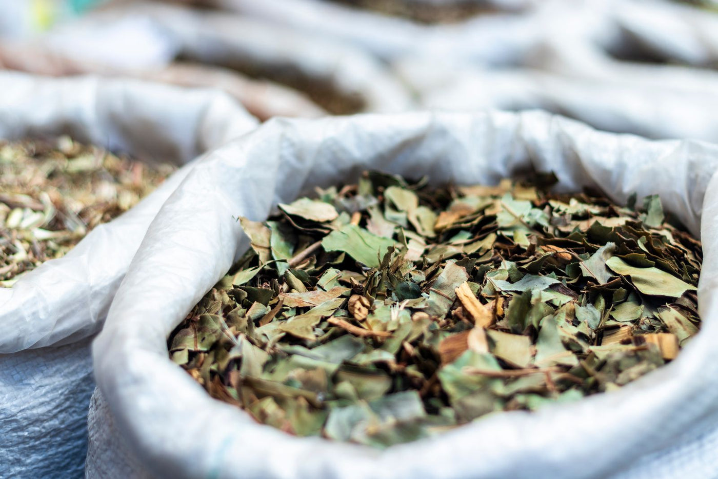 Ayurveda for Healthy Blood Sugar: An Honest India Guide