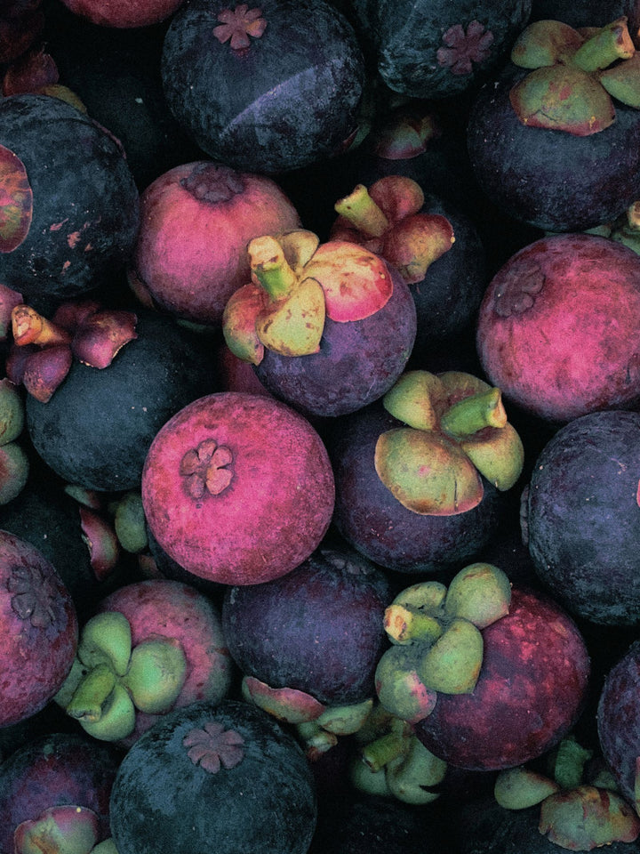 Garcinia Cambogia for Weight Loss: What the Science Says