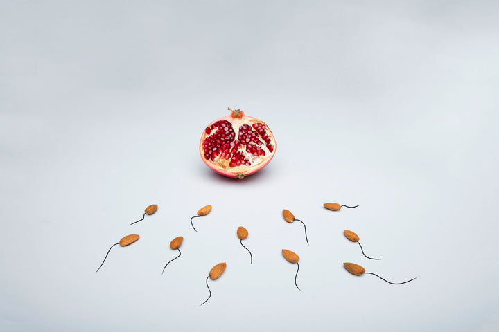 Ayurveda and Fertility: What's Claimed vs Evidenced