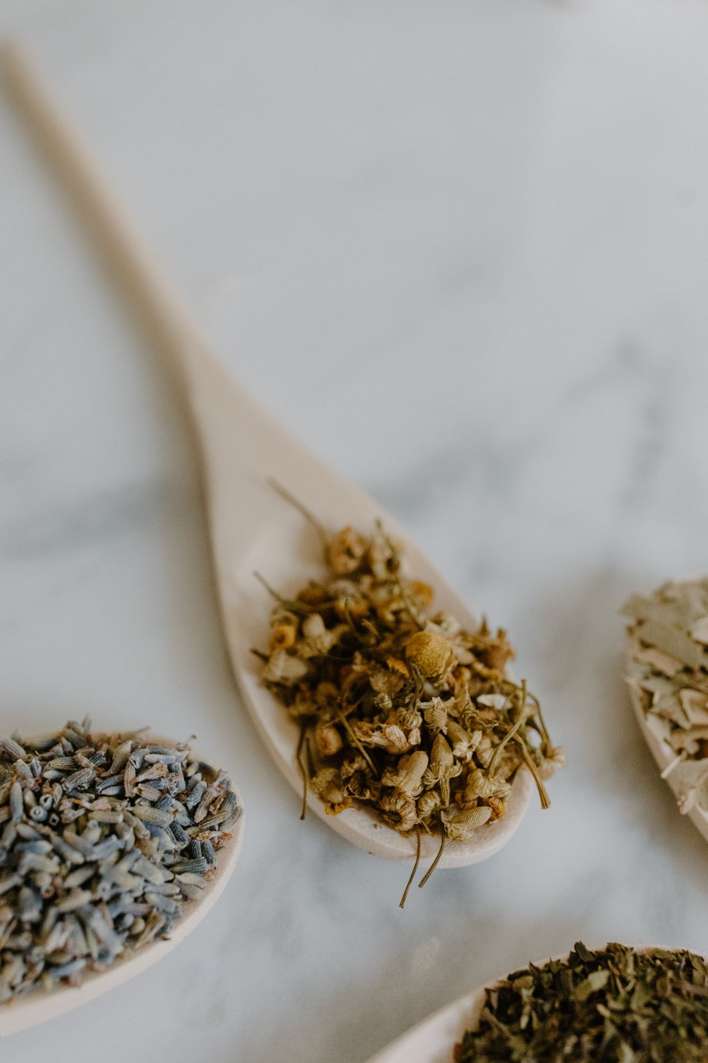 Best Ayurvedic Herbs for Anxiety: What the Evidence Says