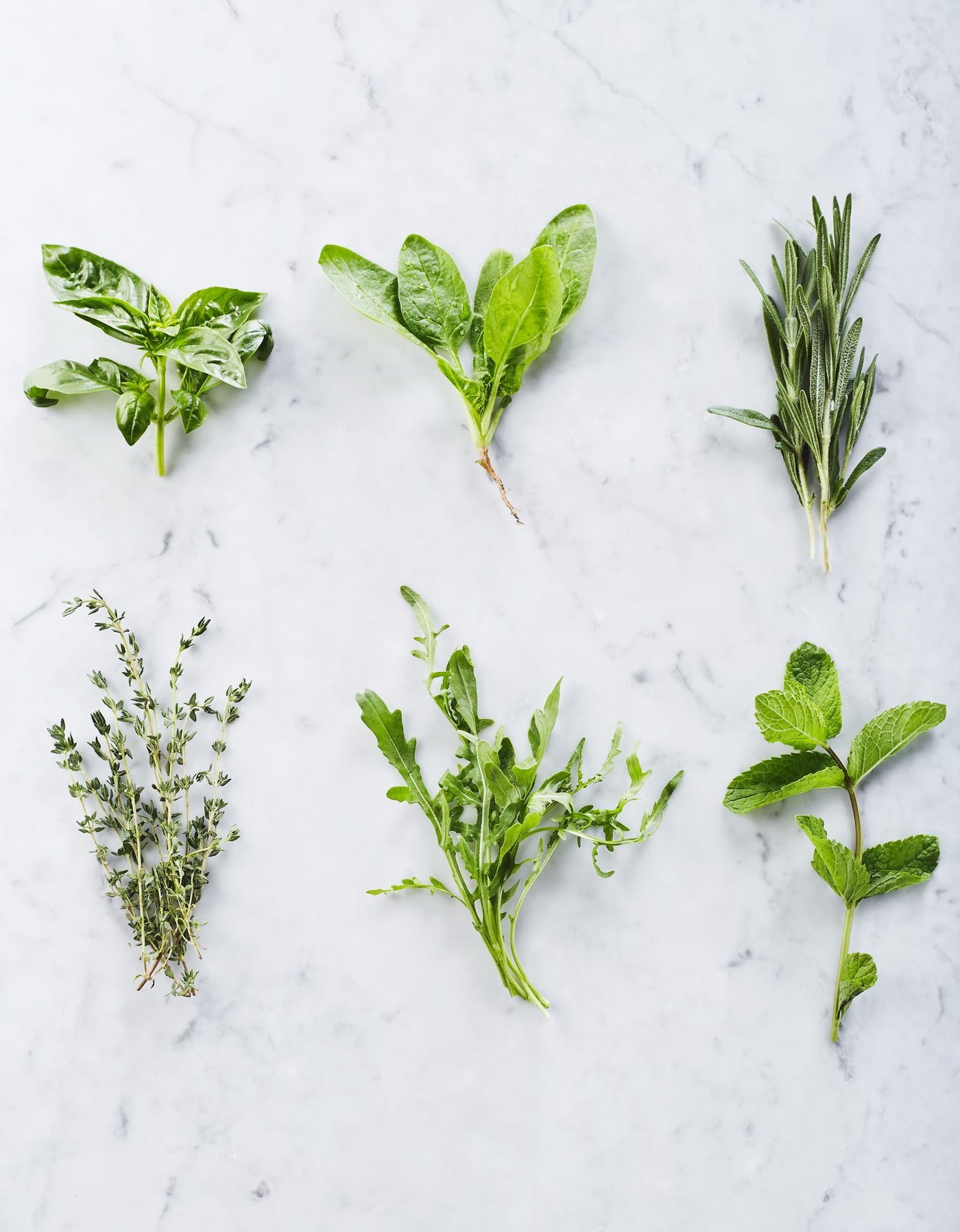Ayurvedic Herbs for Fatty Liver: What the Evidence Says
